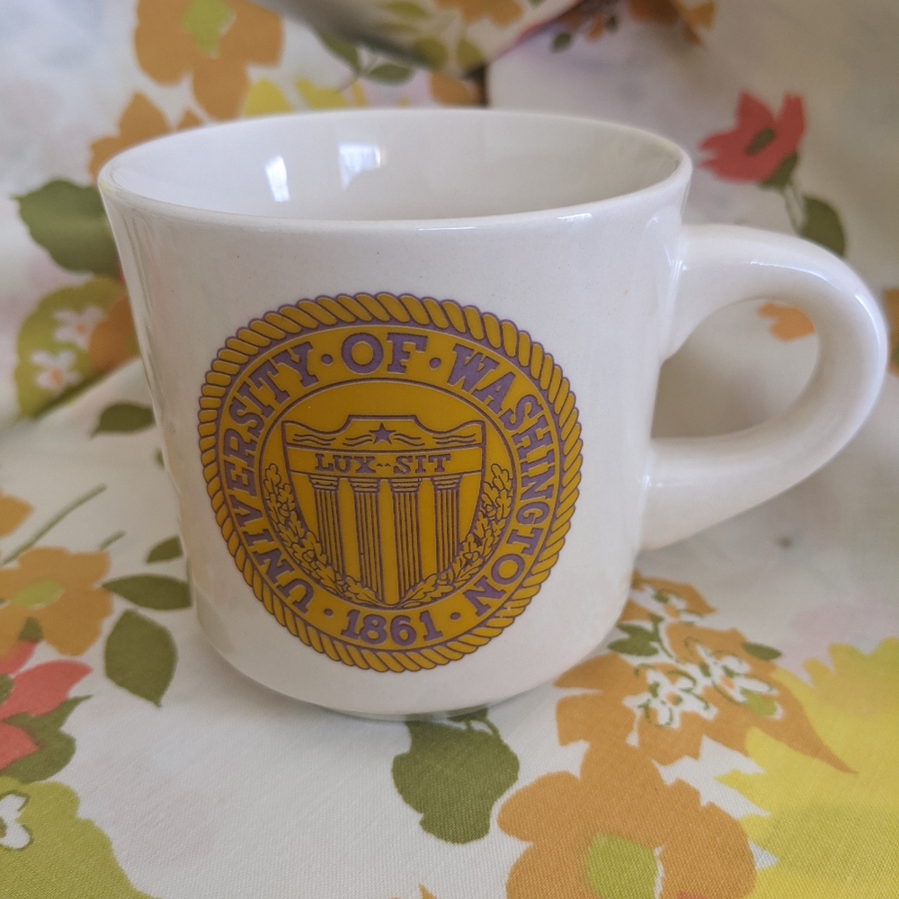 University of Washington mug